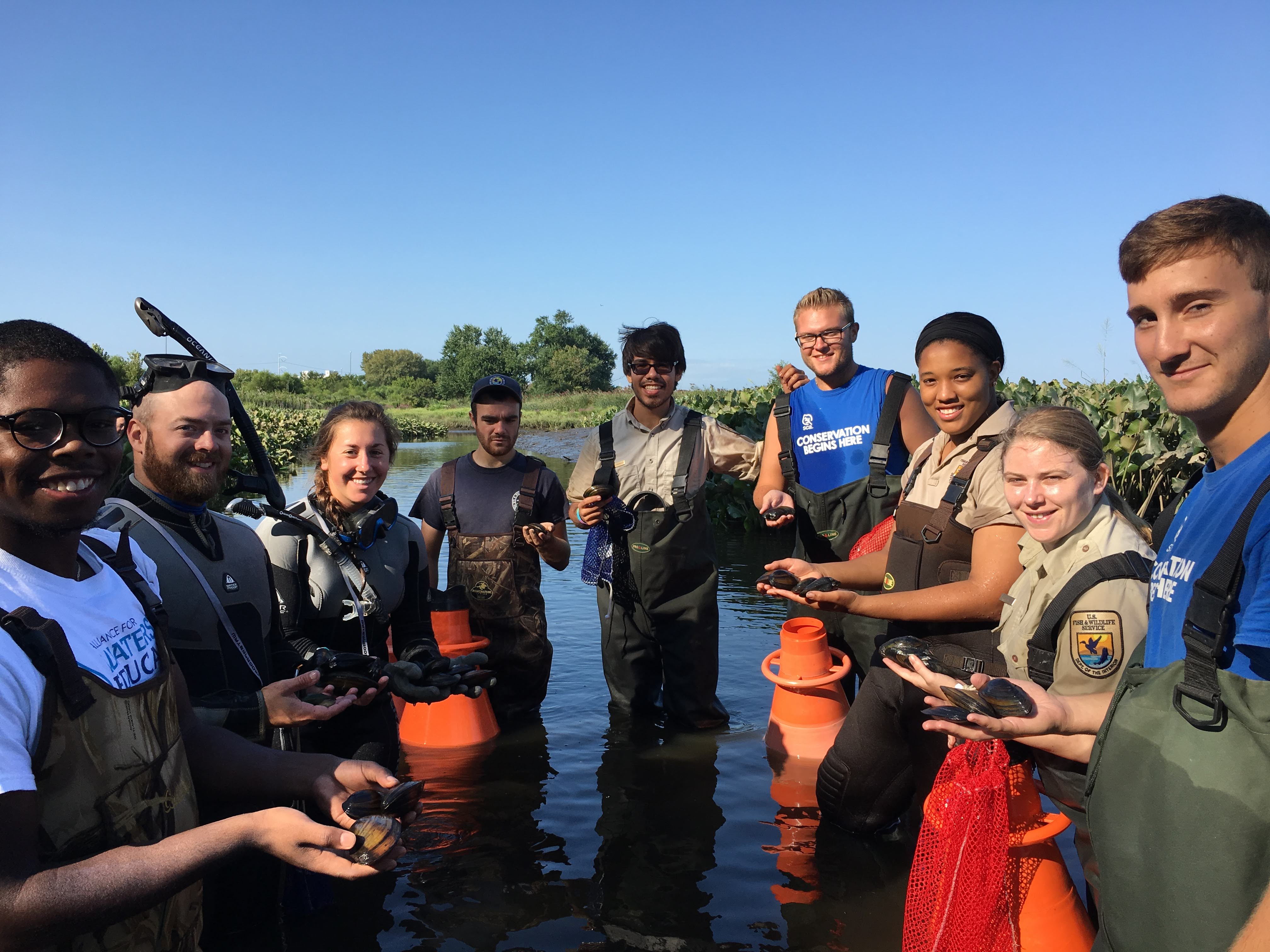 Group standing in watershed in waders holding shells